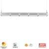 Rygh 250W Lineare LED-Hochbuchtleuchten