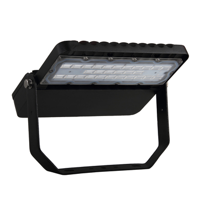 Energiesparender 10KV Aluminium-LED Fahrer des Straßenlaterne-hoher Lumen-IP65 100W MEANWELL